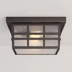 Ambler 2-Light Flush Mount Outdoor Ceiling Fixture - Clear Seeded
