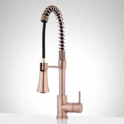 Steyn Kitchen Faucet With Spring Spout