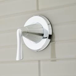 Provincetown In-Wall Shower Volume Control