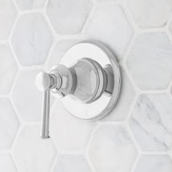 Beasley In-Wall Shower Volume Control