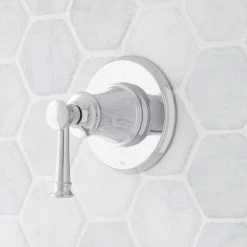 Beasley In-Wall Shower Diverter
