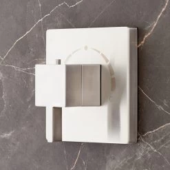 Rigi Thermostatic Shower Valve
