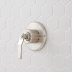Gunther In-Wall Shower Diverter Trim