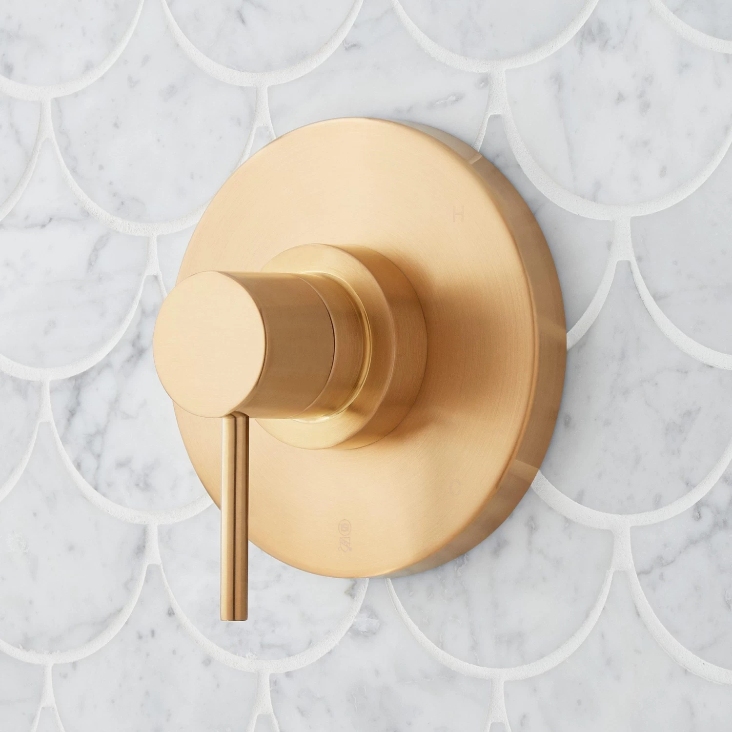 Lexia Pressure Balance Shower Valve Trim - Image 2