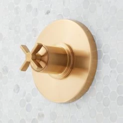 Vassor Pressure Balance Shower Valve