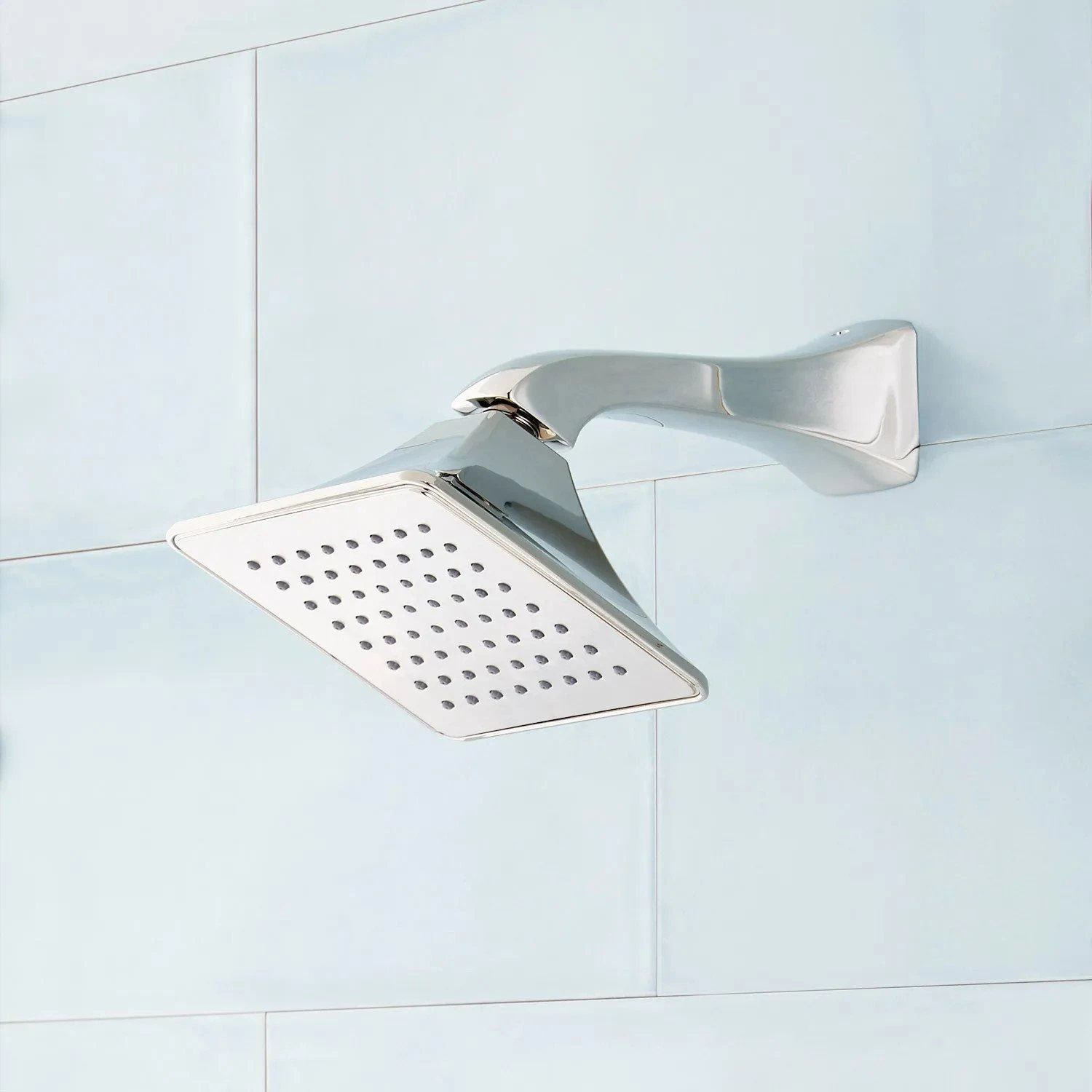 Vilamonte Shower Head And Arm
